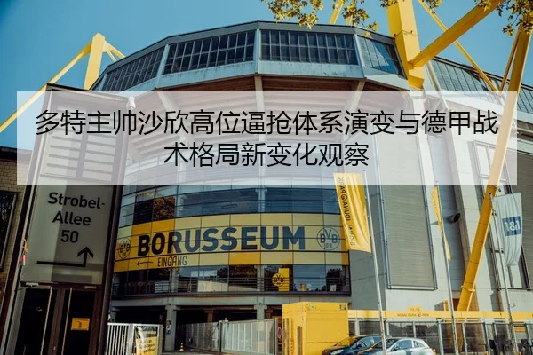 多特主帅沙欣高位逼抢体系演变与德甲战术格局新变化观察 - kaiyun